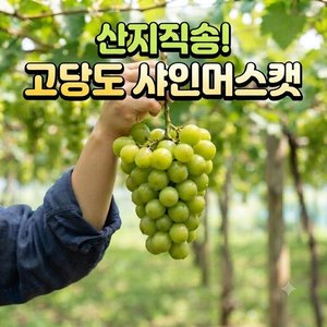 당도선별 18브릭스 고당도 프리미엄 1kg(10,900원/무료)