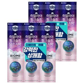 히말라야핑크솔트 담은 바이옴 잇몸 구취전문 치약, 160g, 6개 (13,900원)