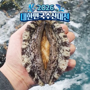 완도 활전복 1kg 11-12미 네멤 (12,230원/무료)