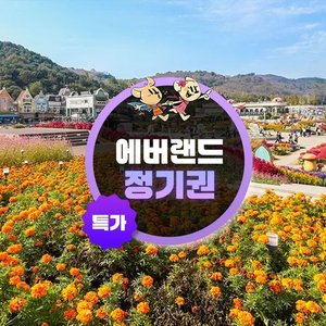 용인 에버랜드 정기권(연간이용) 365스탠다드 대인권 (218,880원) (무료)