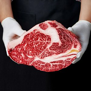 1등급 암소한우 등심 500g (24,250원) (무료)