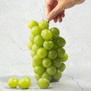특품 김천 샤인머스켓 2kg x 총 4수 (12,310원/무료)