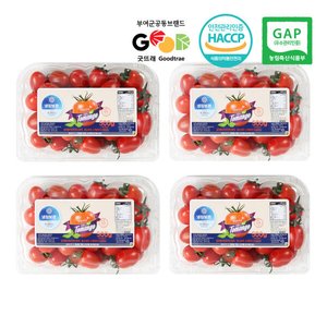 스테비아 대추방울토마토 토망고2kg(10,390원/무배)
