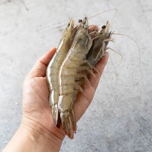 흰다리 새우 활새우 1kg 30미 내외 (19,680원) (무료)