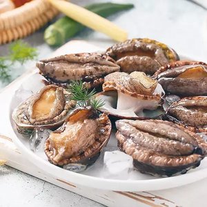 완도 활전복 9-15미 산소포장 1kg (15,900원/무료)