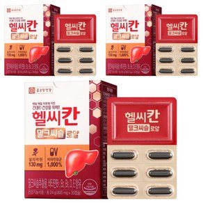 종근당건강 헬씨칸 로얄 밀크시슬, 30정, 3개 (16,810원)