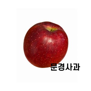 문경 사과 홍로 못난이 3kg 5kg 무료배송