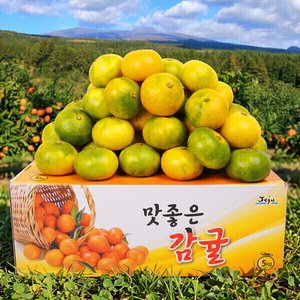 제주직송 서귀포 극조생감귤 4.5kg(로얄과) (9,930원) (무료)