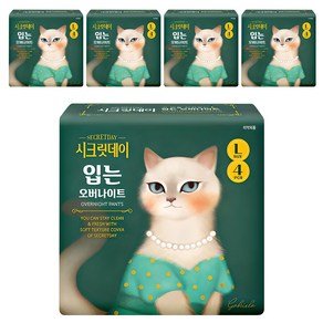 시크릿데이 입는 오버나이트 팬티형, 대형, 4개입, 5개 (13,770원)