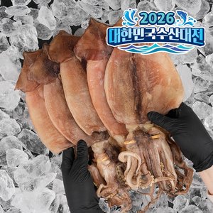 반건조오징어 피데기 10미 700g내외 (14,420원) (무료)