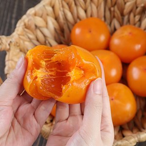 청도 씨없는 반시 5kg (15,600원/무료배송)