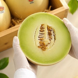 허니듀 멜론 2과 총 3.7kg (14,948원/무료)