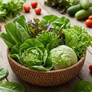 국내산 신선한 유러피안 샐러드 1kg 실중량 (9,810원/무료)