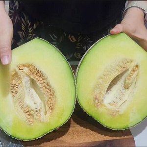 국내산 머스크멜론 2수 4kg (13,950원/무료배송)