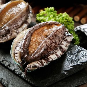 완도 활전복 1kg 7-8미 (16,230원/무료)