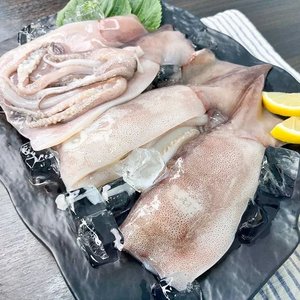 국내산 손질오징어 700g 2개 (26,980원) (무료)