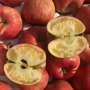 홍로사과 4kg 소과 (티멤 카카페 8,890/무배)
