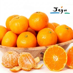 고당도 하우스 감귤 3kg (11,700원) (무료)