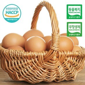 프리미엄 동물복지 무항생제 난각번호 2번 계란 유정란 ( 20구 / 40구 / 60구 ), 1개 (26,780원)