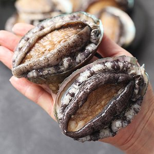 완도 활 특대 전복 1kg 9-10미 (19,320원/무료)