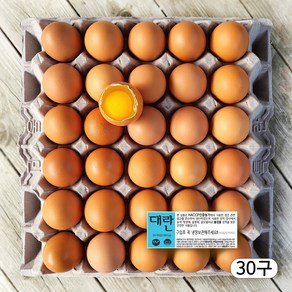 에그트리 농장직송 항생제 없는 신선한 계란 대란, 30구, 1개 (13,450원)