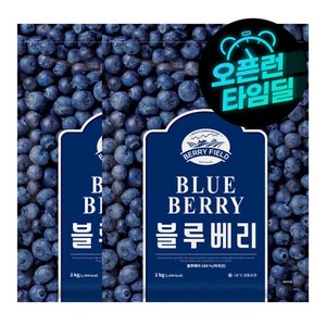 베리필드 블루베리 2kg 2개 총 4kg (미국산) (28,900원/무료)