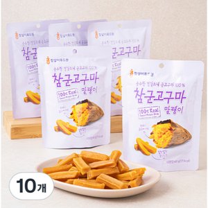 참군고구마 말랭이 60g 10개 (17,960원/무배)