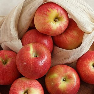 햇 홍로사과 2kg 꼬마소과(14,920원/무배)