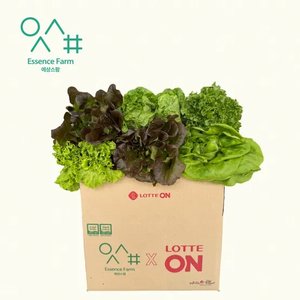 에상스팜 유러피안 샐러드야채 모듬 1kg (8,130원/무료)