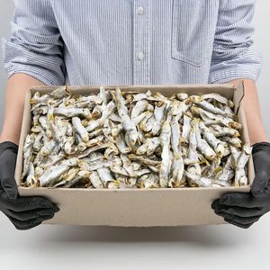 남해안 고노리 다시멸치 하품 1.5kg (9,430원/무료)