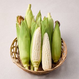국내산 햇 미백찰옥수수 특품(16cm이상) 20개 (11,900원) (무료)