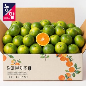 (농할20%+12%) 제주 햇 조생감귤 로얄과 2.5kg (8,980원/무료)