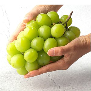 산지직송 고당도 샤인머스캣 2kg 3~4수( 11,940/무배)