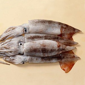 국내산 당일조업 서해안 생물 오징어 얼음포장 3~5미 (700g~800g 내외) (14,370원/무료)