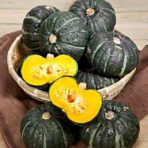 제주 밤호박 5kg (9,800원) (무료)