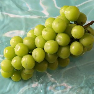 국내산 샤인머스켓 2kg (8,900원/무료배송)
