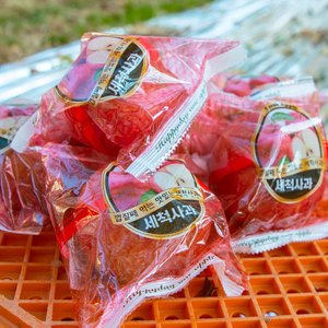 햇 부사 알뜰사과 5kg (13,000원/무료배송)