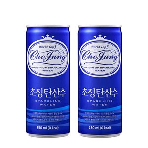 초정탄산수 플레인 250ml x 60캔 (19,890원/무료)