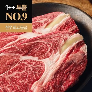 한우 최고등급 1++ 9등급 꽃갈비살, 안심, 채끝, 꽃등심 각 200G (17,560원~/무료)