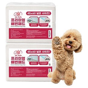 닥터파파 프리미엄 배변패드 29g, 100개입, 2개 (23,680원)