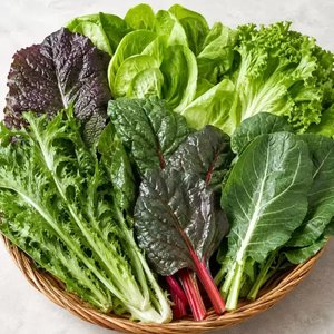국내산 모듬쌈채소 4~5종 랜덤 1kg 보냉포장 (10,090원/무료)