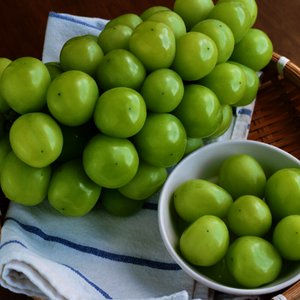 샤인머스켓 2Kg 3~4수(8,780원/무배)