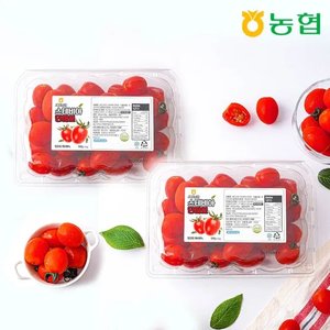 스테비아 대추 방울토마토 로얄과 500g 4팩 (13,920원/무료)