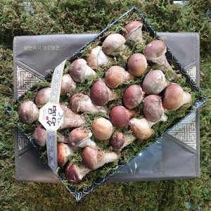 곡성 옥과농원 참송이버섯 선물세트 (39,440원/무료)