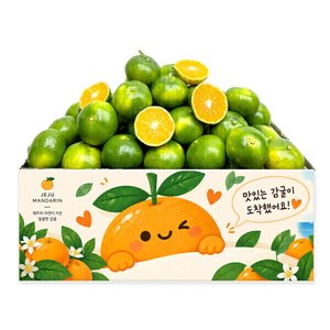 감귤 제주 햇 극조생감귤 로얄과 4.5kg (12,920원/무료)