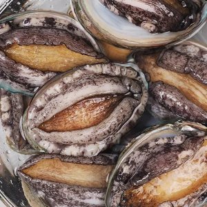 완도 활전복 1kg (11-12미) 특대 (14,830원) (무료)