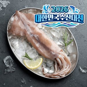 비비수산 국내에서 손질한 자연산 통오징어 270g 2미+2미 (8,400/무료)