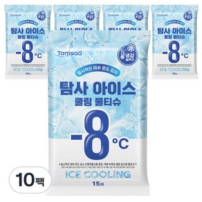 탐사 아이스 쿨링 물티슈 휴대용, 10팩, 15매, 55g (11,100원)
