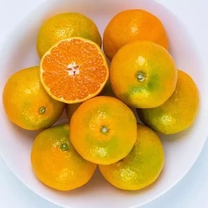 서귀포 위미 하우스 감귤 5kg 대과 (11,900원/무료배송)