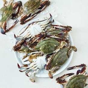 산지직송 서해안 일품 햇 꽃게 (냉장), 1개, 3kg (37,750원)